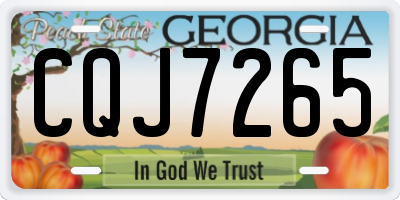 GA license plate CQJ7265
