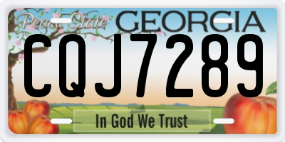 GA license plate CQJ7289