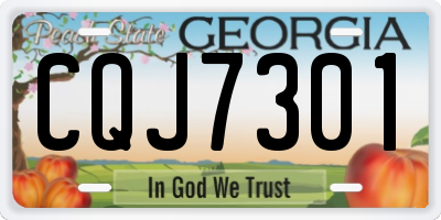 GA license plate CQJ7301