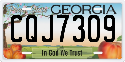 GA license plate CQJ7309
