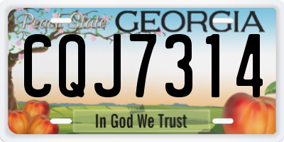 GA license plate CQJ7314