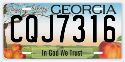 GA license plate CQJ7316