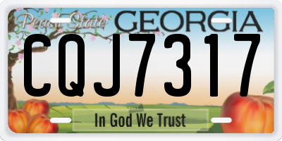 GA license plate CQJ7317