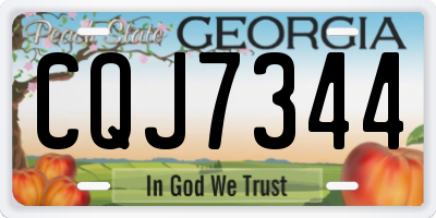 GA license plate CQJ7344