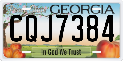 GA license plate CQJ7384