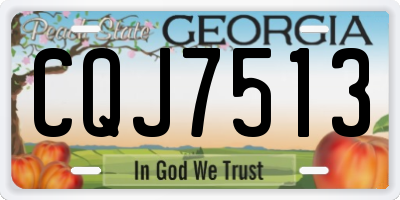 GA license plate CQJ7513