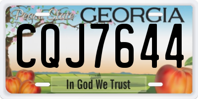 GA license plate CQJ7644
