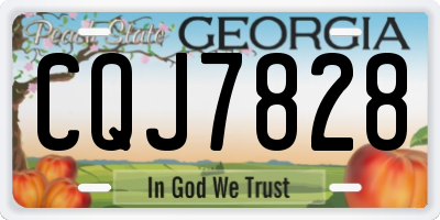 GA license plate CQJ7828