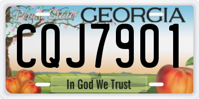 GA license plate CQJ7901