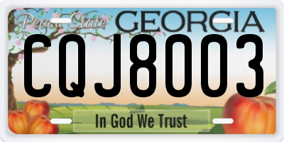 GA license plate CQJ8003