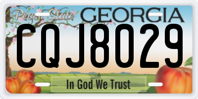 GA license plate CQJ8029