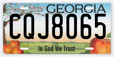GA license plate CQJ8065