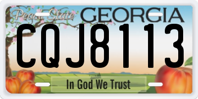 GA license plate CQJ8113
