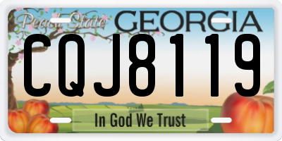 GA license plate CQJ8119