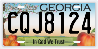 GA license plate CQJ8124