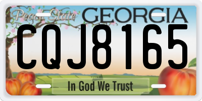 GA license plate CQJ8165
