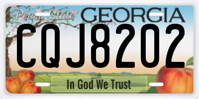 GA license plate CQJ8202