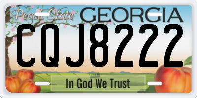GA license plate CQJ8222