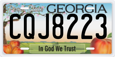 GA license plate CQJ8223