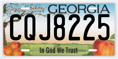 GA license plate CQJ8225
