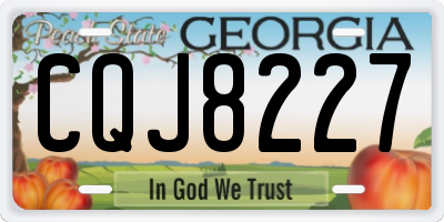 GA license plate CQJ8227