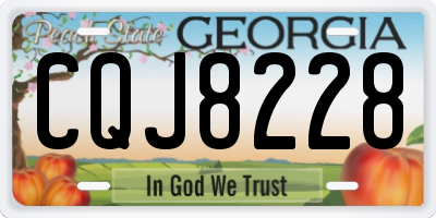 GA license plate CQJ8228