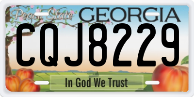 GA license plate CQJ8229
