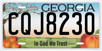 GA license plate CQJ8230