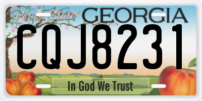 GA license plate CQJ8231