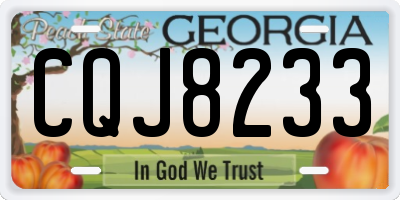 GA license plate CQJ8233