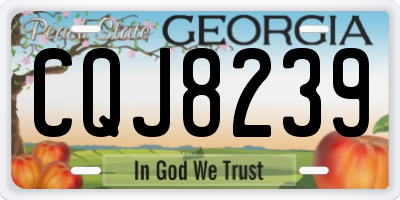 GA license plate CQJ8239