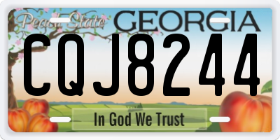 GA license plate CQJ8244