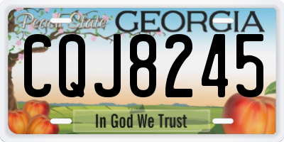 GA license plate CQJ8245