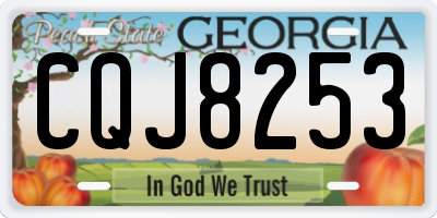 GA license plate CQJ8253
