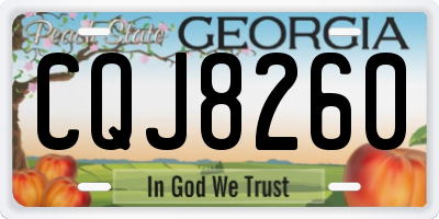 GA license plate CQJ8260