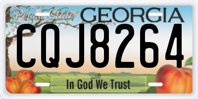 GA license plate CQJ8264