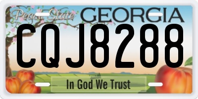 GA license plate CQJ8288