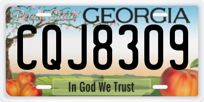 GA license plate CQJ8309