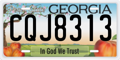 GA license plate CQJ8313