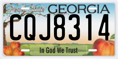 GA license plate CQJ8314