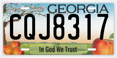 GA license plate CQJ8317