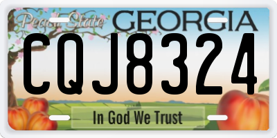 GA license plate CQJ8324