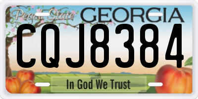 GA license plate CQJ8384