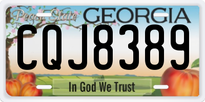 GA license plate CQJ8389