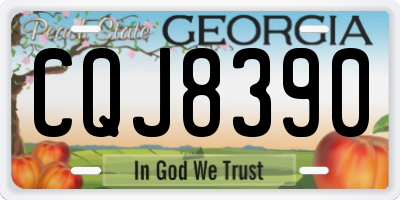 GA license plate CQJ8390
