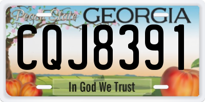 GA license plate CQJ8391