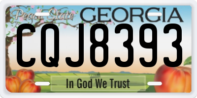 GA license plate CQJ8393