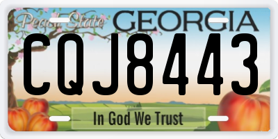 GA license plate CQJ8443