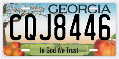 GA license plate CQJ8446
