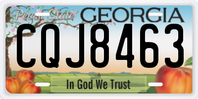 GA license plate CQJ8463